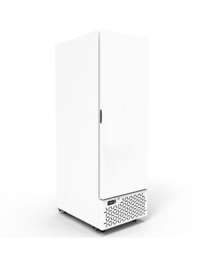 Upright Single Hinged Ice Cream Freezer