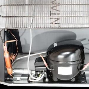 Refrigerator Compressor